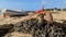 A speedboat beached on the sand moored to a rusty stake in the sand