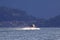 Speedboat with hydrofoil, goes over Lake Como, in Italy