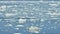 Speedboat and Icebergs in Disko Bay Greenland.