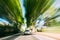 Speeding Car On A Highway, Country Asphalt Road. Motion Blur Bac