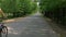 Speeding cycle rides along asphalt lane past bushy forest