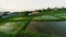 Speedly flying fpv drone over agricultural rice green fields covered water, peasant villages.
