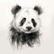 Speedpainting Of A Monochromatic Panda Bear With Intense Gaze