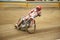 Speedway riders on the track