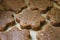 Spelled cookies according to Saint Hildegard`s recipe