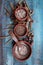 Spelt grain, spelt flakes and spelt flour arrangement in pottery bowls