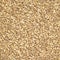 Spelt organic wheat cereal texture or background