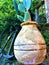 Spendid vase, nature and grass plant in Portofino village, Genoa province, Liguria region, Italy