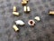 Spent shot lead bullets shrapnel cartridge