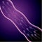 Sperm and ovum combination, many sperm scramble ovum.