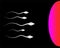 Sperm to ovum illustration vector