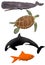 A sperm whale, a green sea turtle and orca and a goldfish are seen