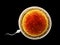 Spermatozoon, floating to ovule