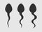 Spermatozoon icon isolated on white background. Vector illustration.