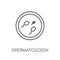 Spermatozoon linear icon. Modern outline Spermatozoon logo conce