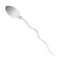 Spermatozoon vector. Sperm vector illustration. Human sperm