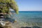 Spetses Island. Zogeria beach, pine trees landscape. Greece