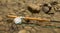 Spey fly rod and reel resting on wet rocks beside a river