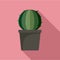 Sphera cactus pot icon, flat style