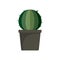 Sphera cactus pot icon, flat style