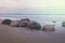 Spheric Moeraki Boulders on the Eastern coast of New Zealand