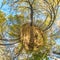 Spherical abstract aerial view in forest with clumsy branches in gold autumn. tiny planet transformation of spherical panorama 360