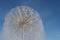 Spherical fountain on blue sky