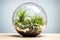a spherical glass terrarium filled with air plants