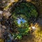 Spherical panorama Tree of life spiral made of water and stones