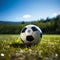 Spherical sports ball rests peacefully on a bed of grass