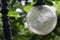 Spherical streetlamp in a green park