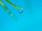 Spherical water drop on the tip of a grass leaf with a blue background