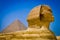 The Sphinx at the ancient pyramids of Giza