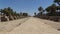 Sphinx Avenue of Nectanebo I. Luxor Temple, Egypt