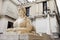 Sphinx at Conegliano, Veneto, Italy