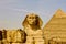 Sphinx Egypt portrait. Portrait of the Great Sphinx of Egypt close