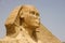 Sphinx Egypt portrait. Portrait of the Great Sphinx of Egypt close