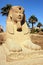 Sphinx, Luxor