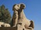 Sphinx at Luxor Temple, Egypt