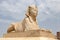 Sphinx in Serapeum of Alexandria, Egypt