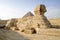 Sphinx Sideview Closeup againts Great Pyramid, Egypt