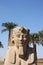 Sphinx Temple of Luxor Egypt