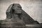 Sphinx vintage photo