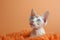 Sphynx cat with blue eyes  on a peach fuzz background. The image is generated with the use of an AI.