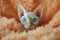 Sphynx cat with blue eyes  on a peach fuzz background. The image is generated with the use of an AI.