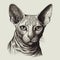 Sphynx cat, engraving style, close-up portrait, black and white drawing, cute fluffy kitten,