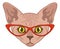 Sphynx cat head. Funny character in red glasses, domestic animal portrait, cute smart pet illustration, trendy adorable