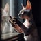 Sphynx cat looks out window and scratches glass with its claws, portrait