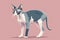 Sphynx cat on a pink background, cartoon style