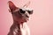 Sphynx Cat Wearing Sunglasses on Light Pink Background, Generative AI